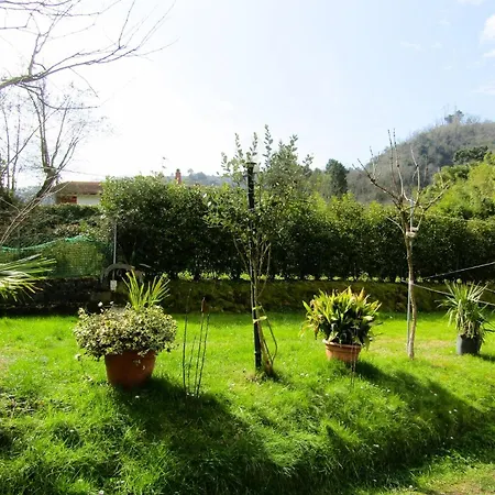 La Casa Di Lilly E Nina * Camaiore